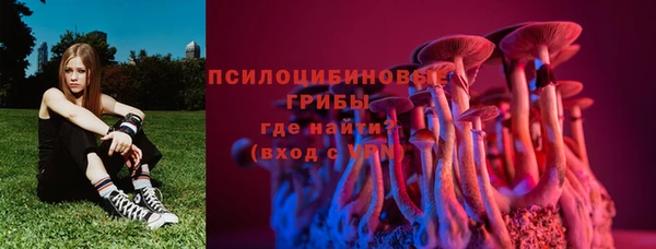гашик Арсеньев