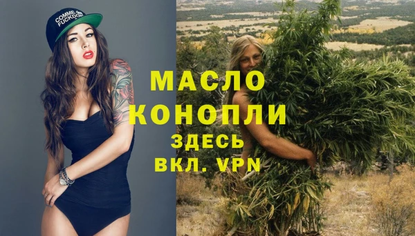 гашик Арсеньев