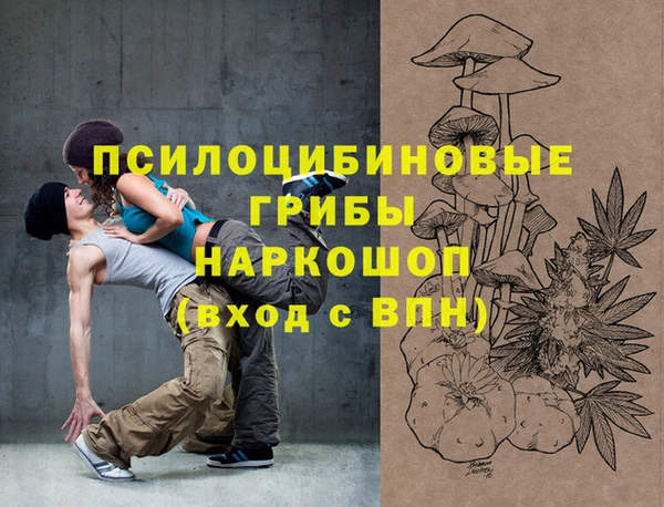 гашик Арсеньев