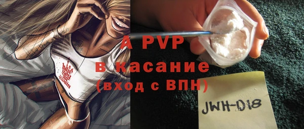 гашик Арсеньев