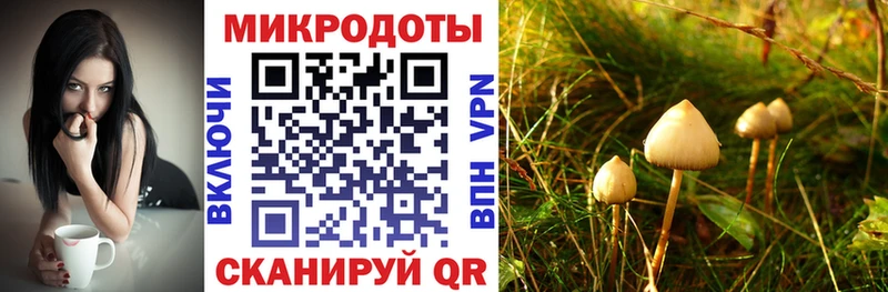 Псилоцибиновые грибы ЛСД  МЕГА сайт  дарк нет официальный сайт  купить закладку  Усть-Илимск 